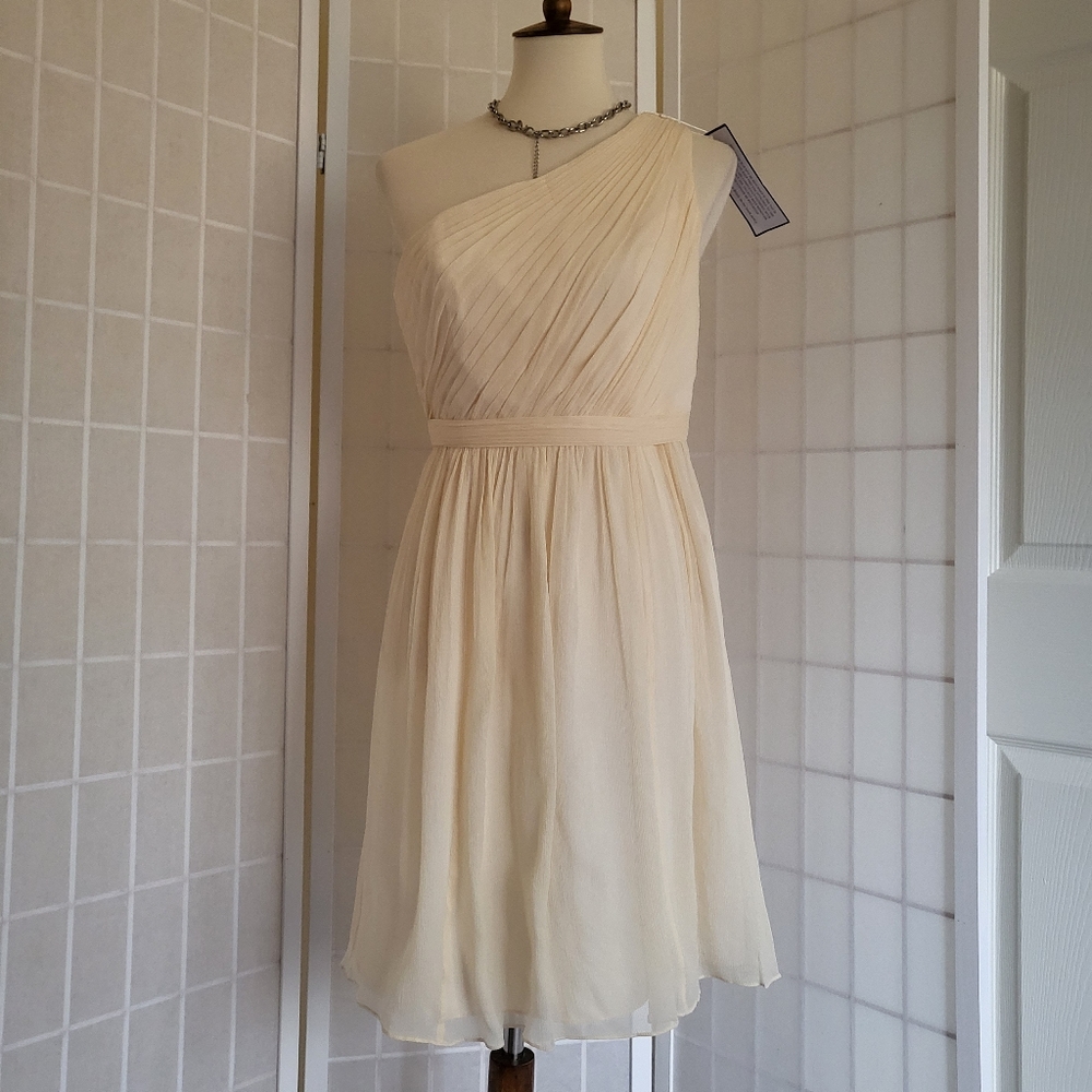 J.Crew Silk Pleated Dress NWT Sz 6